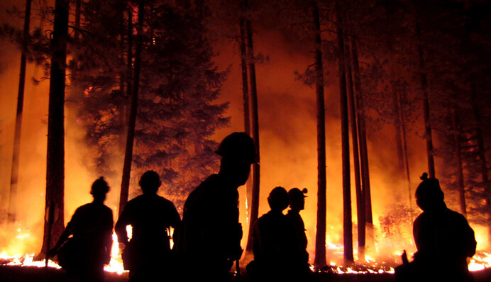 Есть три причины пожаров, одна из них - обстрелы боевиков - глава Луганщины