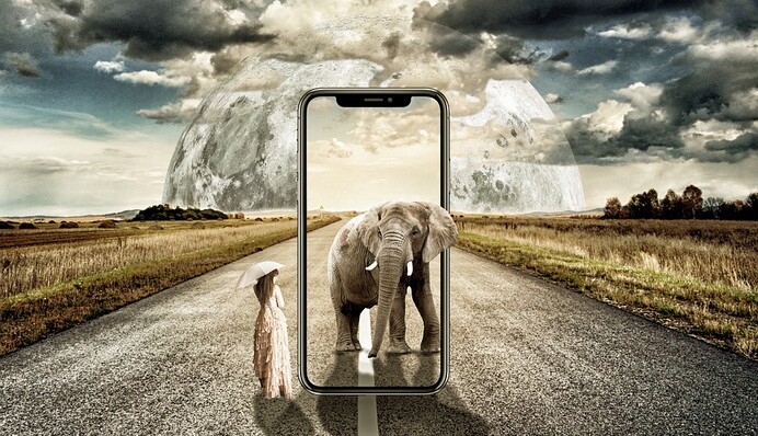 Слон нашел смартфон туриста и устроил ему краш-тест: похоже, он не любит айфоны