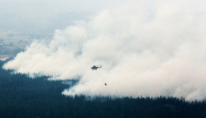 Самолеты и вертолеты работают постоянно - Сергей Гайдай о борьбе с пожарами на Луганщине