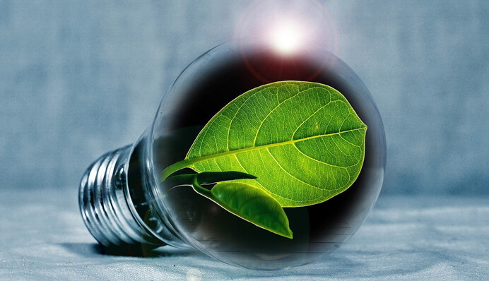 ​Саміт Україна-ЄС: чому Європейський зелений курс в Україні може не відбутись