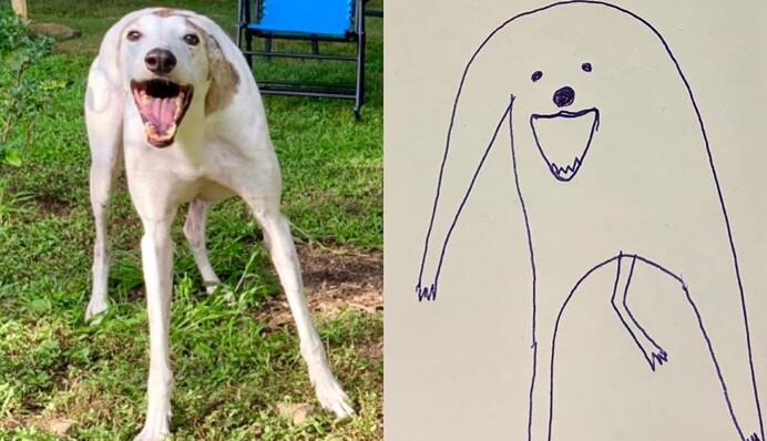 Девушка прислала на конкурс рисунков 