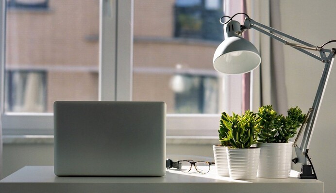 Парень оставил включенную камеру и снял жизнь растений в пустой квартире - теперь ему не по себе