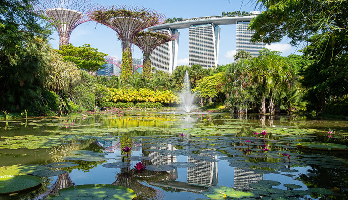 Сингапур решил платить людям, которые рискнут родить детей во время эпидемии Covid-19