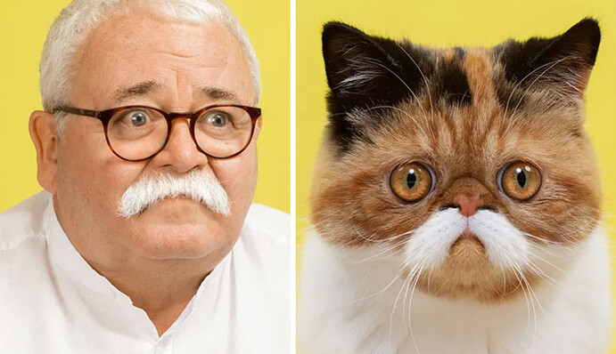 Фотограф сделал забавную серию снимков, в которой наглядно показал сходство котов и их хозяев