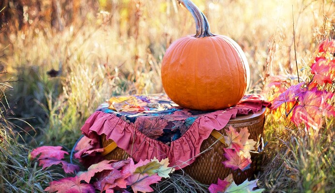 5 полезных свойств тыквы, о которых мы даже не догадывались