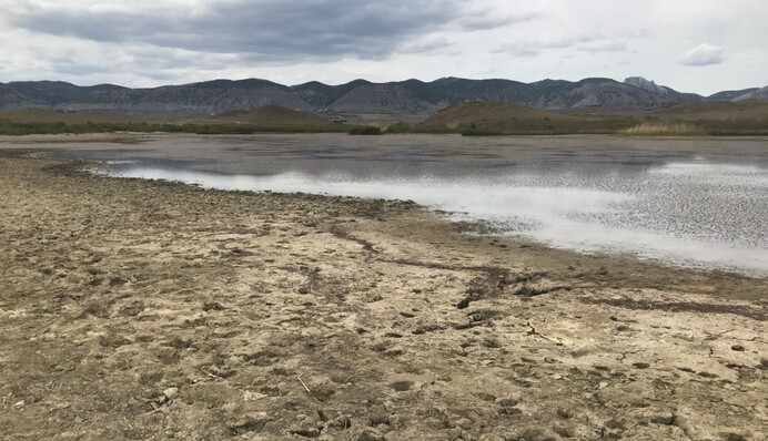 У Криму зараз та ж проблема, з якою зіткнувся Херсонес 1000 років тому - кримська активістка