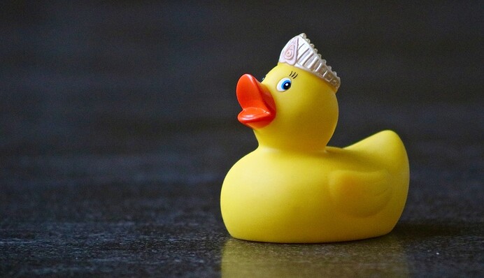 Девушка показала, что творится внутри резиновых уточек для ванны - и люди по-другому взглянули на свое детство