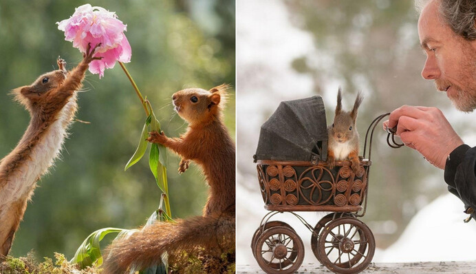 Фотограф приручив білок у лісі, і тепер такими кадрами може похвалитися тільки він