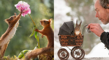 Фотограф приручив білок у лісі, і тепер такими кадрами може похвалитися тільки він