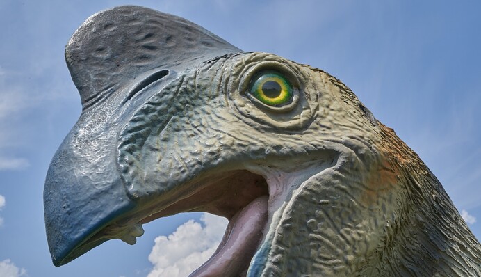 Від чого вимерли динозаври? Вони побачили результати виборів в Україні: ілюстрація Олександра Грехова