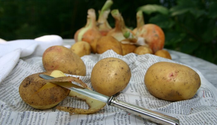 Почему диетологи советуют не злоупотреблять картошкой - 3 факта, о которых мы не думали