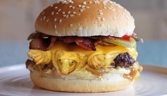 В Індії знайшли рідкісну жовту черепаху - її порівнюють з омлетом, сиром і млинцями