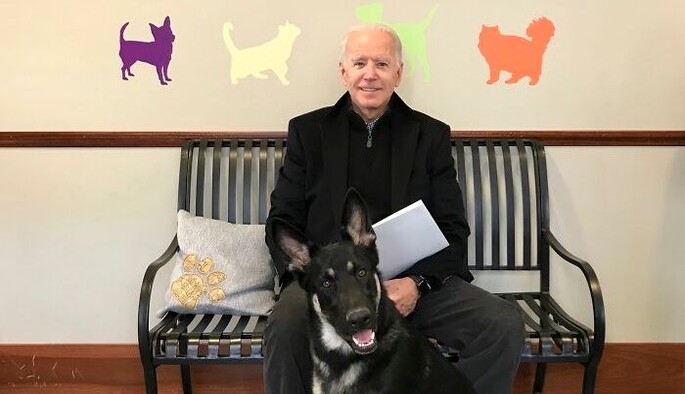 Майор Джо Байдена станет первым псом из приюта, которого поселят в Белом доме, ведь он - полноправный член семьи