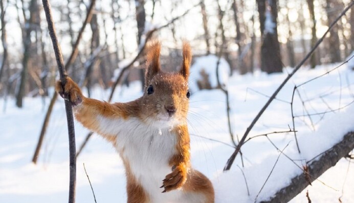 А снег будет? Синоптики дали прогноз на зиму