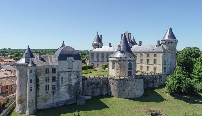 У Франції виставили на продаж тисячолітній замок відомого дворянського роду: фото
