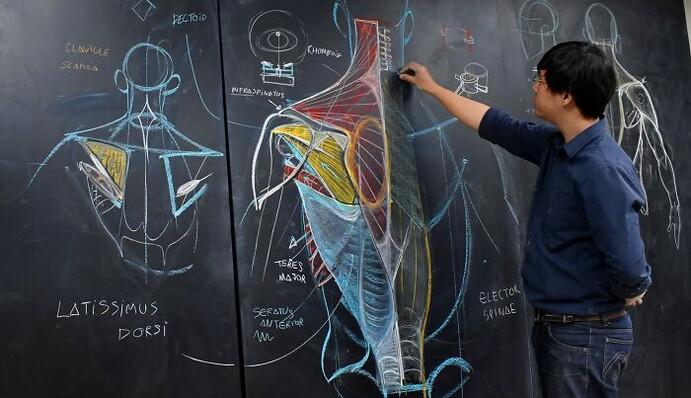Учитель анатомии прославился благодаря рисункам на доске - фото с его уроков выглядят как снимки из музея человеческого тела