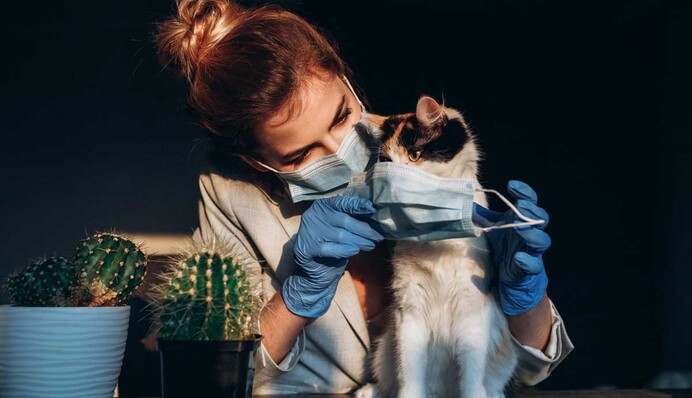 Денег нет, но вы лечитесь: как в Украине бесплатно лечат от коронавируса