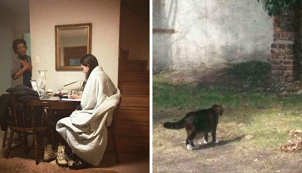 Люди делятся случайными кадрами, которые больше похожи на картины - 10 фото, заслуживающих место в галерее