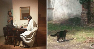 Люди делятся случайными кадрами, которые больше похожи на картины - 10 фото, заслуживающих место в галерее