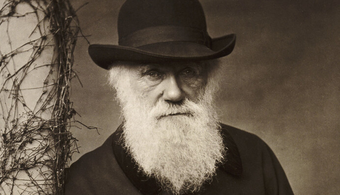 Библиотека потеряла блокноты Чарльза Дарвина - пропажа стоит миллионы, но о ней узнали 20 лет спустя