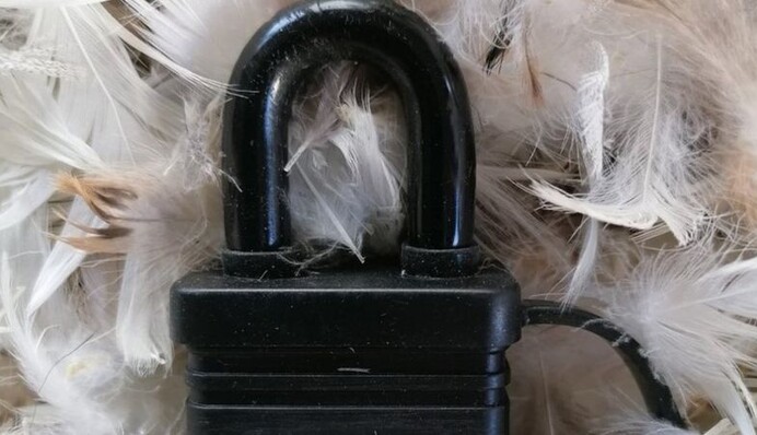 У Британії вручили Премію ріпи - жартівливу нагороду за найгірше сучасне мистецтво