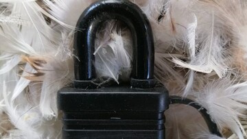 У Британії вручили Премію ріпи - жартівливу нагороду за найгірше сучасне мистецтво