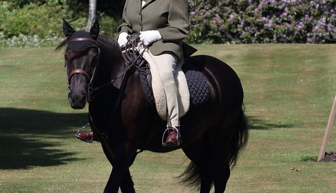 Британский автор назвал 5 правил долголетия королевы Елизаветы