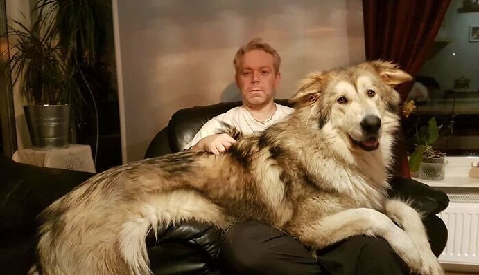 Да что вы знаете о больших собаках: 10 фото из соцсетей, на которых люди кажутся питомцами своих животных