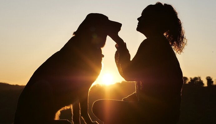 Собака узнала о беременности хозяйки и не смогла сдержать эмоций - реакция четверолапого растопит сердце каждого