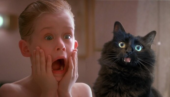 Что, если бы Кевин остался дома с котом: забавный эксперимент сделал 