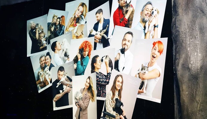 Бабкин, Дорофеева, Каменских и другие звезды объединились ради бездомных животных: милые фото