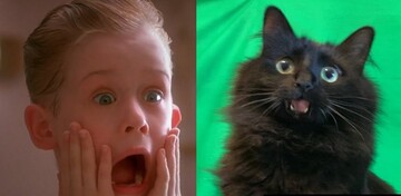 Автори ролика 