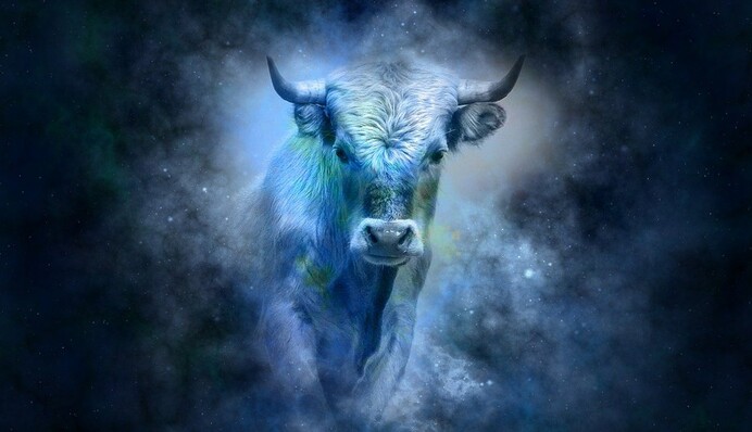 3 знака-счастливчика, которые могут рассчитывать на успех в новом году Быка