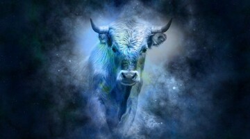 3 знака-счастливчика, которые могут рассчитывать на успех в новом году Быка