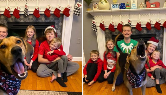 Семья устроила рождественскую фотосессию, но не позвала в кадр собаку - та не простила и испортила каждый снимок