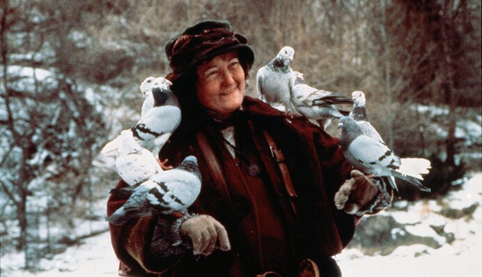 Зірка фільму 