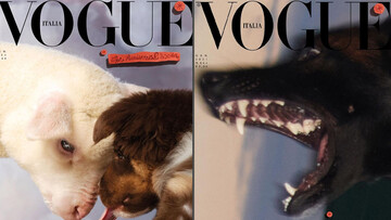Італійський Vogue помістив на обкладинки тварин замість моделей - тому що світ не обертається навколо людей