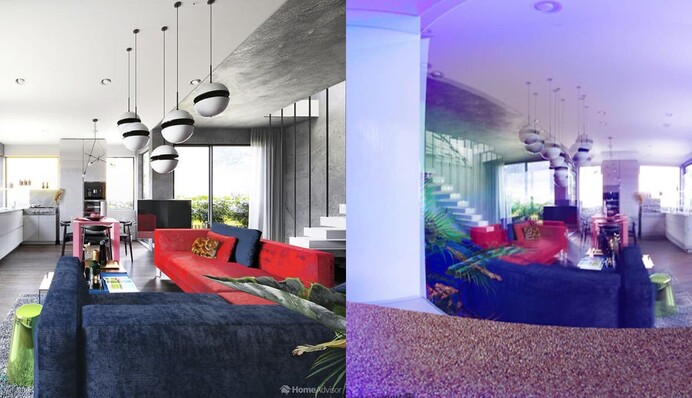 Как домашние питомцы видят дом? Вот комната глазами собаки, кота, рыбки и попугая