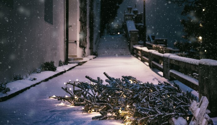 Хочу сдать елку на переработку, куда ее нести? Пункты приема и время работы