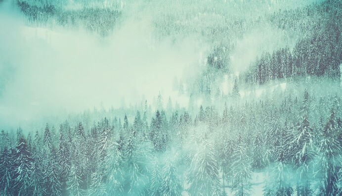 Подросток потерялся в зимнем лесу и построил себе снежную пещеру - его смекалка удивила даже спасателей