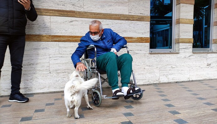 Верная собака днями ждала хозяина у дверей больницы - видео их встречи трогает до слез