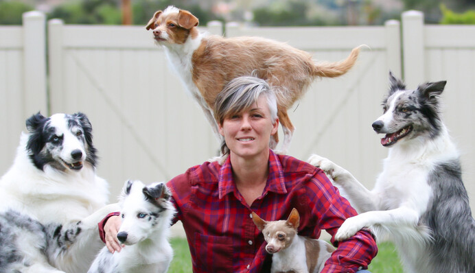 Две игривых собаки побили мировой рекорд, выполнив 28 трюков за минуту