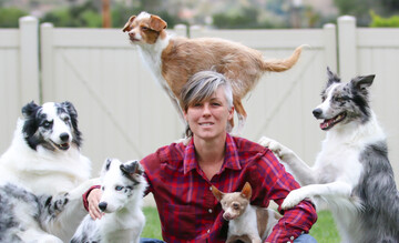 Дві грайливі собаки побили світовий рекорд, виконавши 28 трюків за хвилину