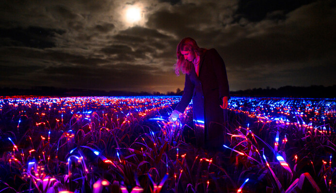 Художник за два роки перетворив поле цибулі-порею на унікальну інсталяцію з ультрафіолетом: відео