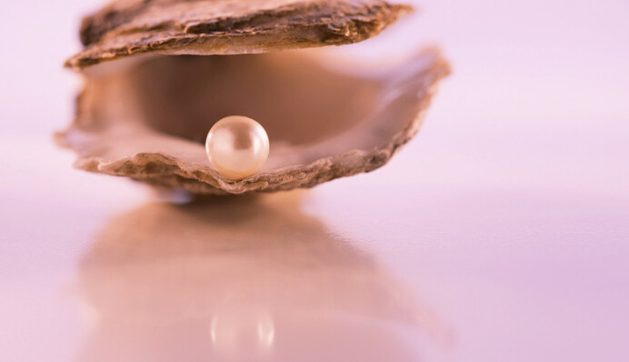 Бедный рыбак нашел редкую оранжевую жемчужину стоимостью сотни тысяч долларов