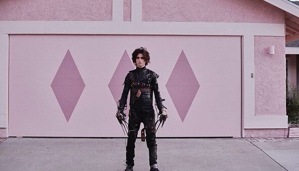 История Эдварда Руки-ножницы получила продолжение в смешной рекламе с Тимоти Шаламе и Вайноной Райдер