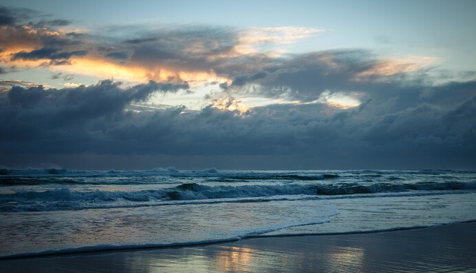 Репортер в прямом эфире достал из океана тело пропавшего мужчины