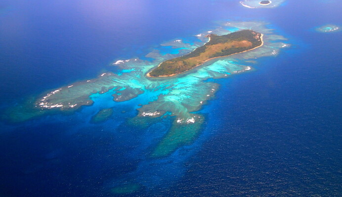 Три человека месяц жили на необитаемом острове - они спаслись благодаря кокосам