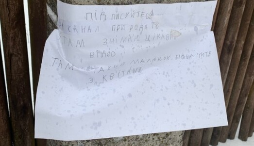 Украинская школьница растрогала односельчан милой рекламой YouTube-канала - теперь у нее 25 тысяч подписчиков