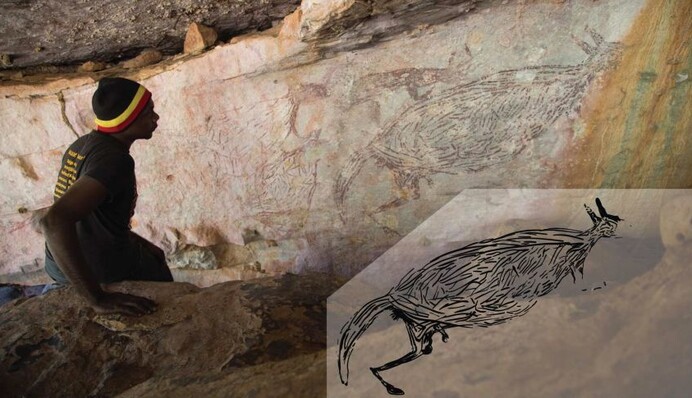 Ученым в Австралии удалось датировать древнее наскальное изображение благодаря осам - ему более 17 тысяч лет